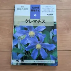 クレマチス