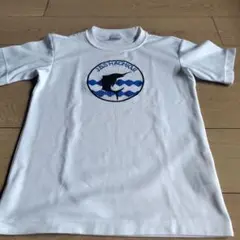 JSSスイミング　Tシャツ 　150　八王子