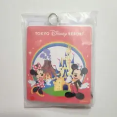 ディズニー　JAL オリジナル　 パスポートホルダー