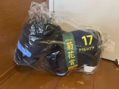 サラブレッドコレクション ふわふわBIG ドゥレッツァ ぬいぐるみ