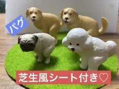 パグ カプセルトイ