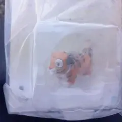ディズニープリンセス 一番くじ E賞 外箱無し