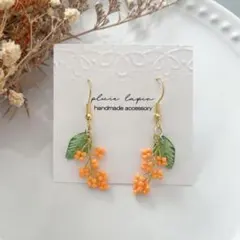 イヤリング ピアス