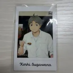 ハイキュー キャラナップ 菅原孝支