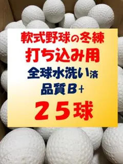 Item thumbnail for item c6f615a4-70a6-45b1-ad93-287cfea52a37