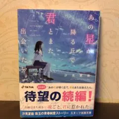 あの星が降る丘で、君とまた出会いたい。
