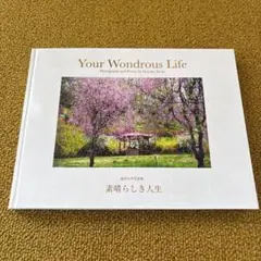 池田大作　写真集　貴重 池田大作写真集 天空の舞 (池田大作) / 株式会社 wit tech