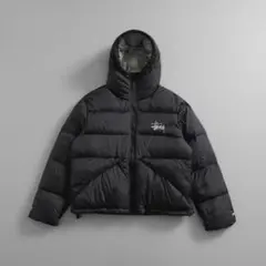 ダウンジャケット stussy