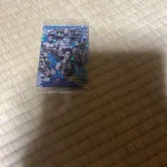 RIZINウエハース’24 シークレット　超RIZIN3 朝倉未来　平本蓮