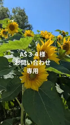 AS３４様…お問い合わせ専用