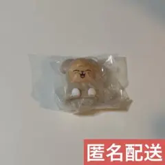 SKZOO ライトマスコット ガチャ　スンミン　パピーム