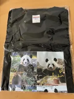 kkmm パンダとクマ Tシャツ アドベンチャーワールド 110cm Familiar パンダとクマ Tシャツ アドベンチャーワールド 110cm