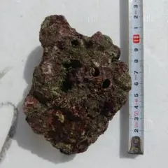 ヨッシー様 リクエスト 3点 まとめ商品