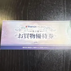 YAMADA HLDGS. お買物優待券 10枚セット