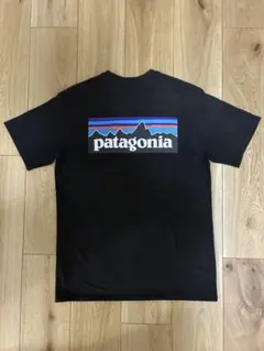 patagonia ブラック Tシャツ バックプリント