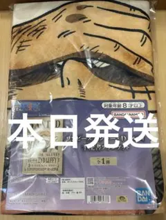 ワンピース　モンキー•D•ルフィ　手配書ブランケット