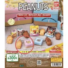 U*H様 スヌーピー PEANUTS ビスケットミニチュアチャーム