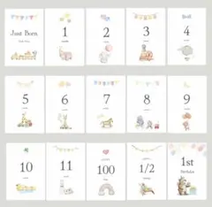 月齢カード マンスリーカード 月齢フォト ニューボーンフォト 文字大