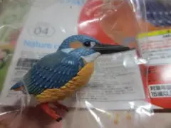Nature of Japan 日本のいきものvol.03　カワセミ