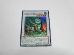 DT03　ナチュル・ビースト　ナチュルビースト　ウルトラ　※a