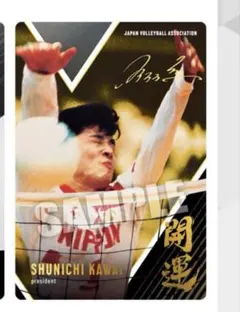 2025年最新】川合_俊一の人気アイテム - メルカリ