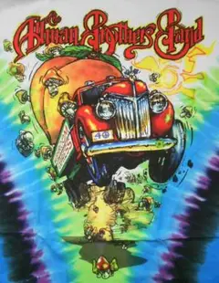 2025年最新】allman brothers band tシャツの人気アイテム