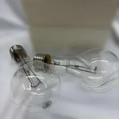 耐水用集魚灯　24V 300W PS95 E39 2ケ