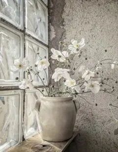 rieꕤ︎︎·͜· ︎︎様　ご確認用ページ