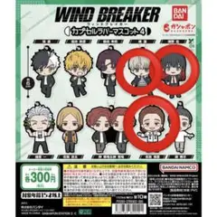 WIND BREAKER カプセルラバーバンド