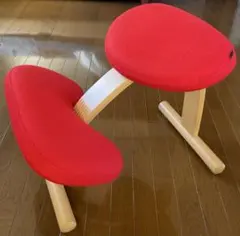 バランスチェア•イージー　専用カバー　ノルウェー•リボ社　取説あり