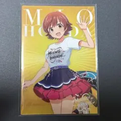 本田未央 ツアマス CO