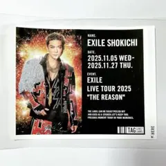EXILE SHOKICHI オリジナルラベル缶 レモンスカッシュ ステッカー