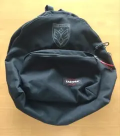即発送 bump  silver jubilee  バックパック 新品未使用 美品 BUMP OF CHICKEN バンプオブチキン Silver Jubilee