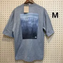 ヨセミテシーナリーTシャツM（NT32436 ）