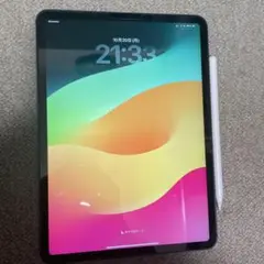 iPad pro 11インチ 256GB Wi-Fi + Cellular