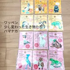 刺繍ワッペン 12個セット 少し変わった生き物たち