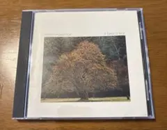 ウィリアム・アッカーマン　イット・テイクス・ア・イヤー　【CD】