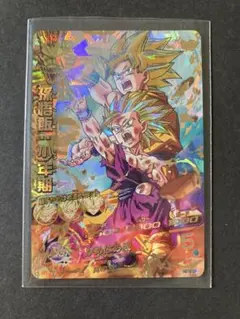 【PSA9】孫悟飯　H2-16 Amazon.co.jp: ドラゴンボールヒーローズ/第2弾/H2-16 孫悟飯