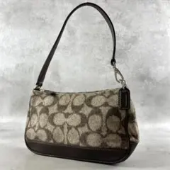 ✨美品✨コーチ　アクセサリーポーチ　ワンショルダー　シグネチャー　ブラウン