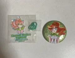 セーラームーン　セーラージュピター オーロラチャーム&缶バッジ