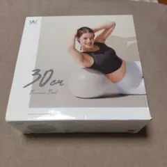 ALINCO 30cm バランスボール WBF030W