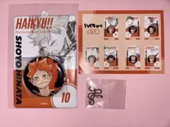 ハイキュー!! 缶バッチ&特製ホルダーコレクション第2弾 烏野高校 日向翔陽