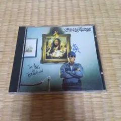 SUICIDAL TENDENCIES THE ART OF REBELLION