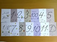 月齢カードセット