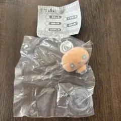 たまごっち　カプセルフロッキーズ　めめっち