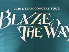 &TEAM BLAZE THE WAY グッズ タオル - メルカリ