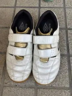 アクセレイター