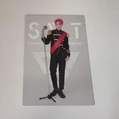 SEVENTEEN JAPAN ARENA TOUR SVT トレカ ホシ