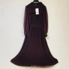 【新品未使用】ZARAプリーツシアー ロング ワンピース　 Lサイズ 金ボタン