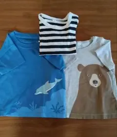 半袖生き物Tシャツと横縞長袖Tシャツの3枚組セット